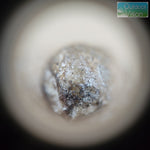 โหลดรูปภาพลงในเครื่องมือใช้ดูของ Gallery กล้องส่องพระ Belomo 10x
